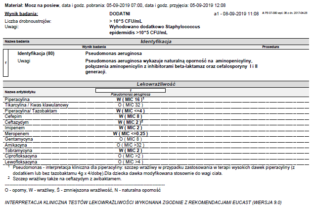 aeruginosa 10do5.PNG