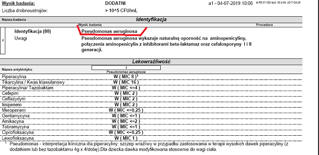 aeruginosa.PNG